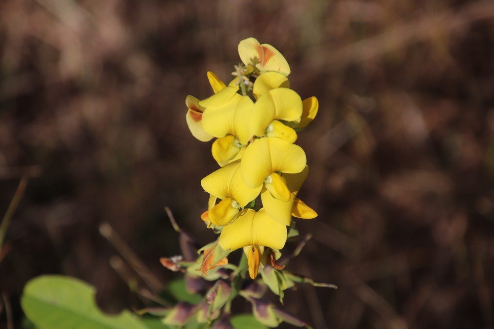 Le sentier de Deville-Maisoncelle-Petit-Canal必去景点