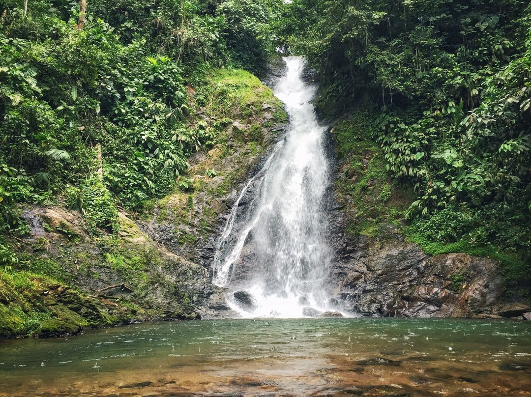 Reserva Natural y Ecoturistica La Avispa景点图片