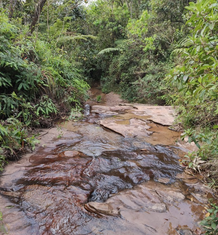 Cachoeira Tres Pingos景点图片