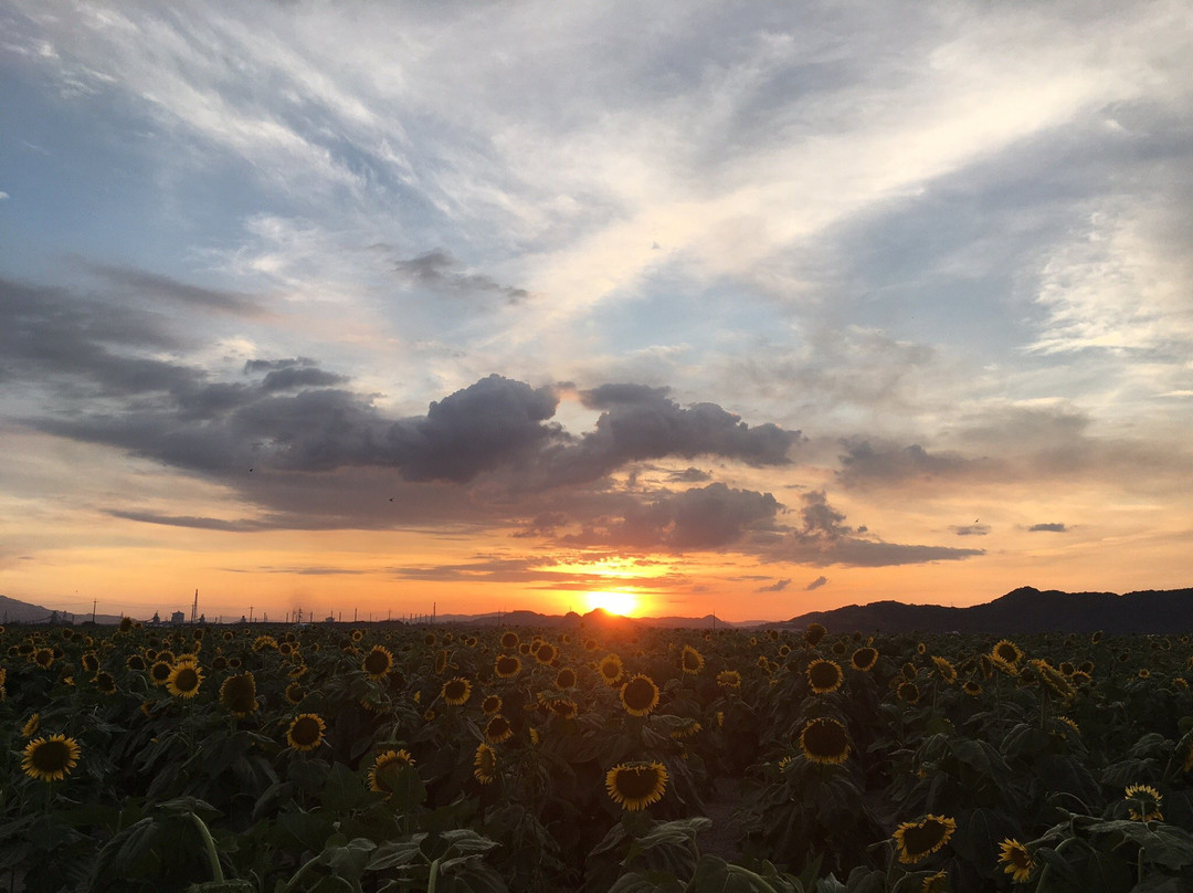 Michi-no-Eki Kasaoka Bay Farm-笠冈市必去景点