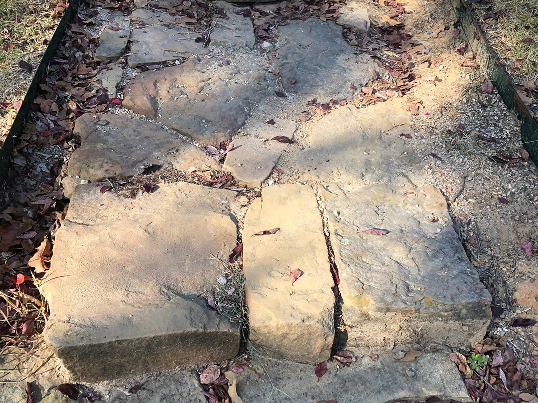 Fort Boggy State Park-Centerville必去景点