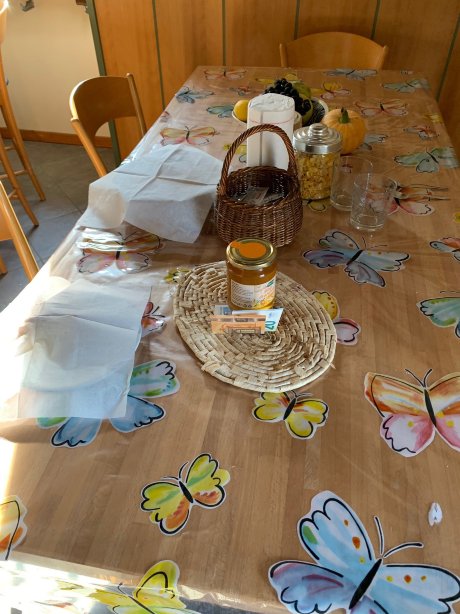 B&B e Movimento-官方