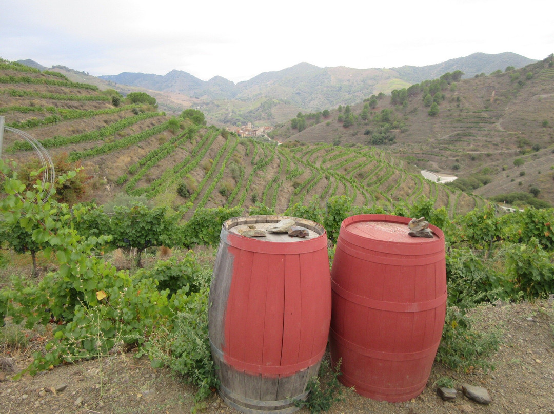 Marco Abella-Porrera必去景点