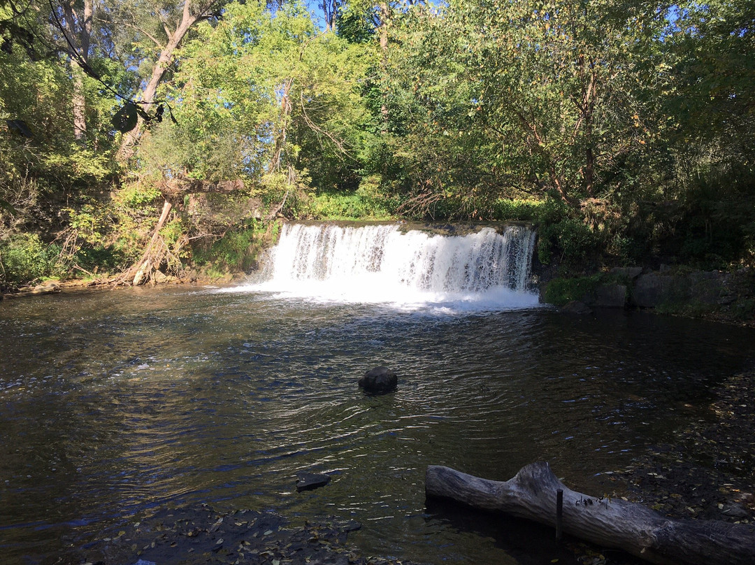 Lynn River Falls景点图片