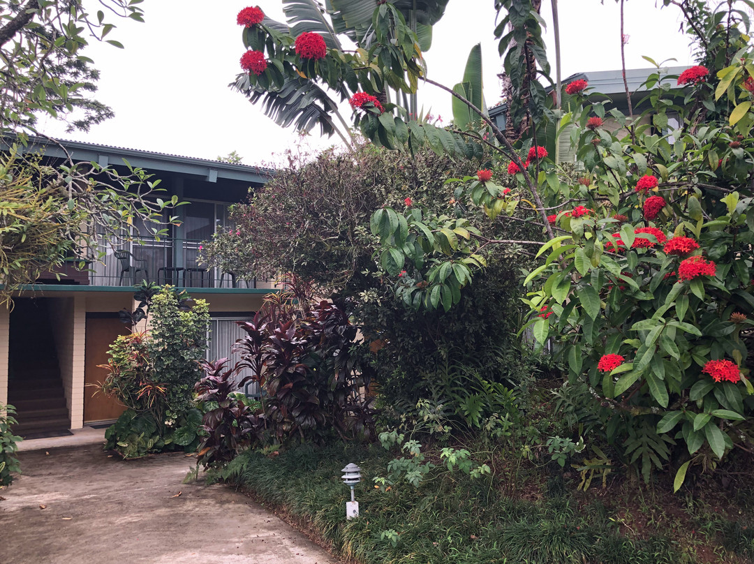 海豚湾酒店主图