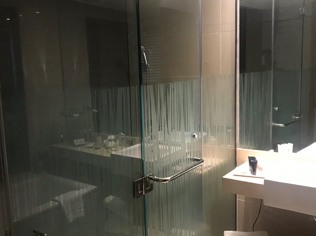 Hotel Dreams Araucania主图