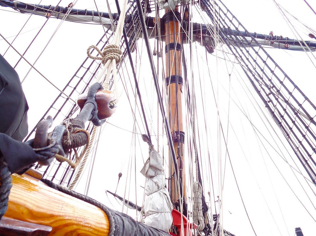 Le Musee Maritime de Nouvelle-Caledonie景点图片