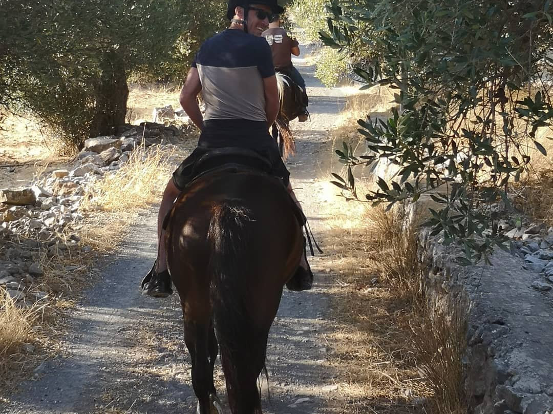 Fourni Horses-Fourni必去景点