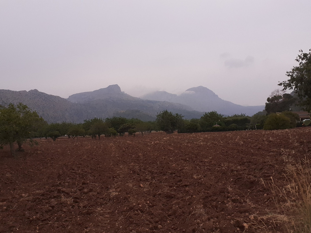 GR 221- Dry Stone Route-Es Capdella必去景点