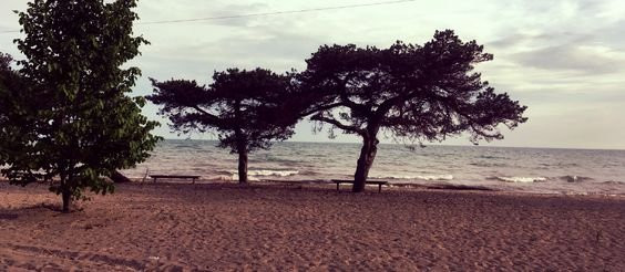 Polish Club Windsor-Harrow必去景点