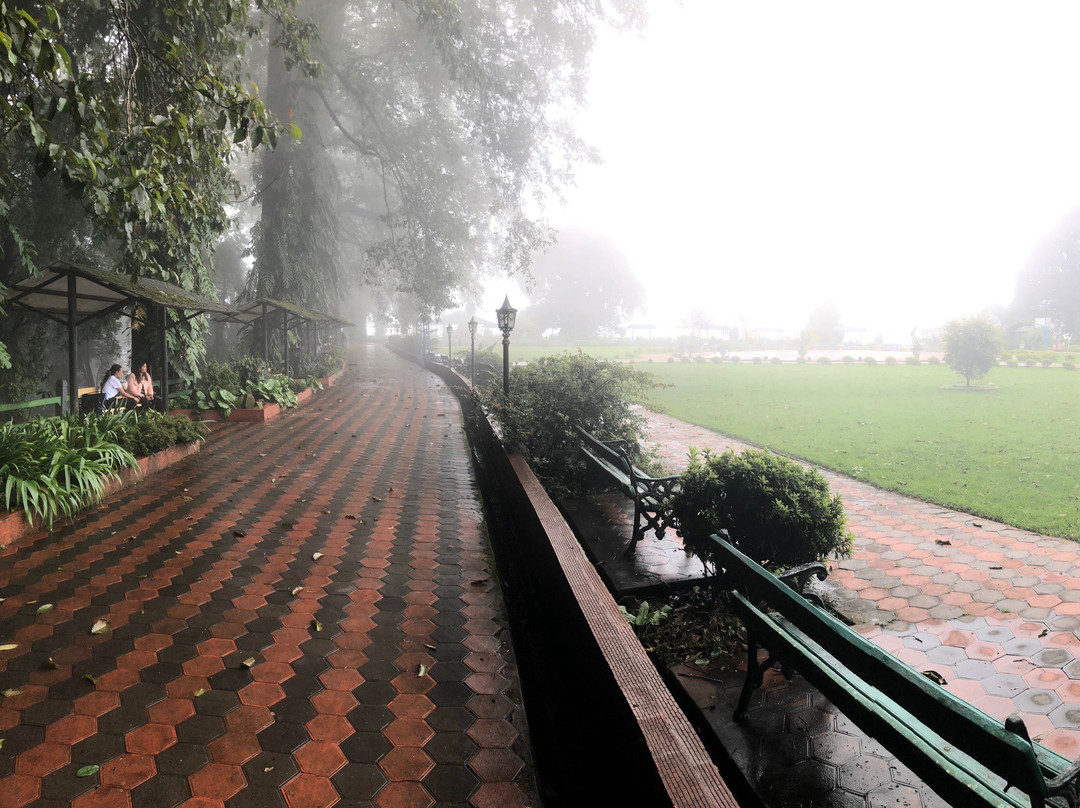 Shrubbery Nightingale Park-大吉岭必去景点
