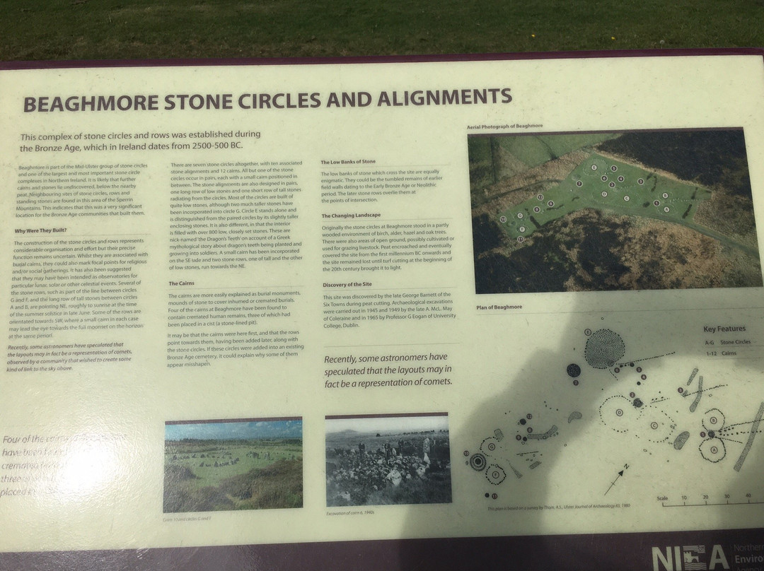 Beaghmore Stone Circles景点图片