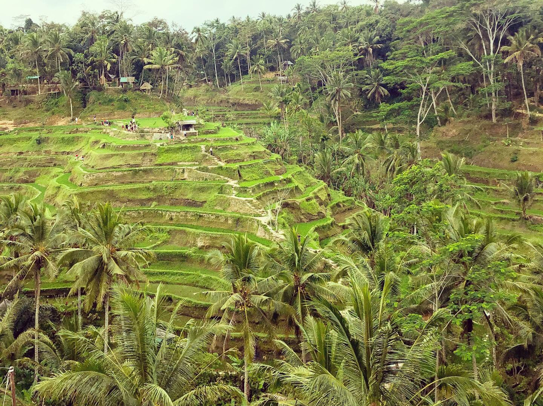 Bali Private Car Charter-库塔必去景点