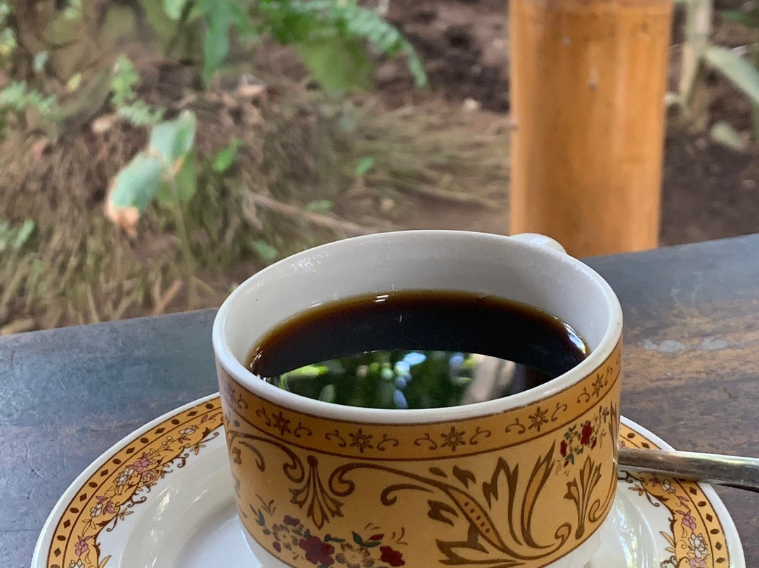 Alam Sari Agrotourism景点图片