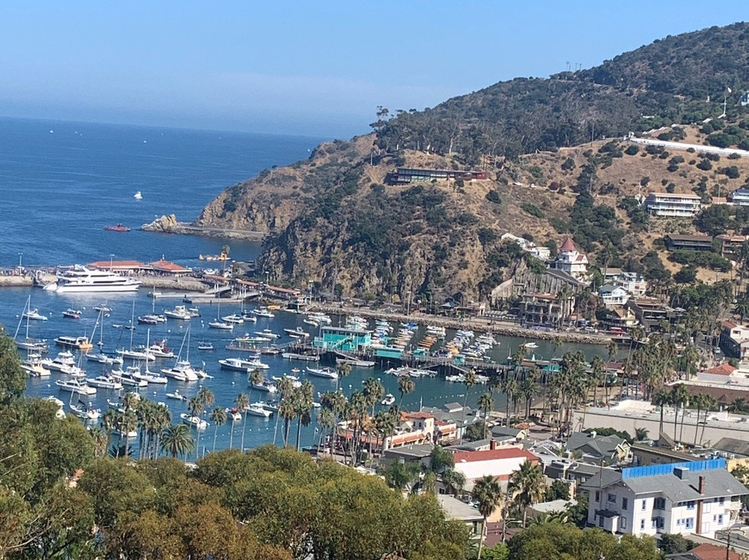 Catalina Island Conservancy景点图片