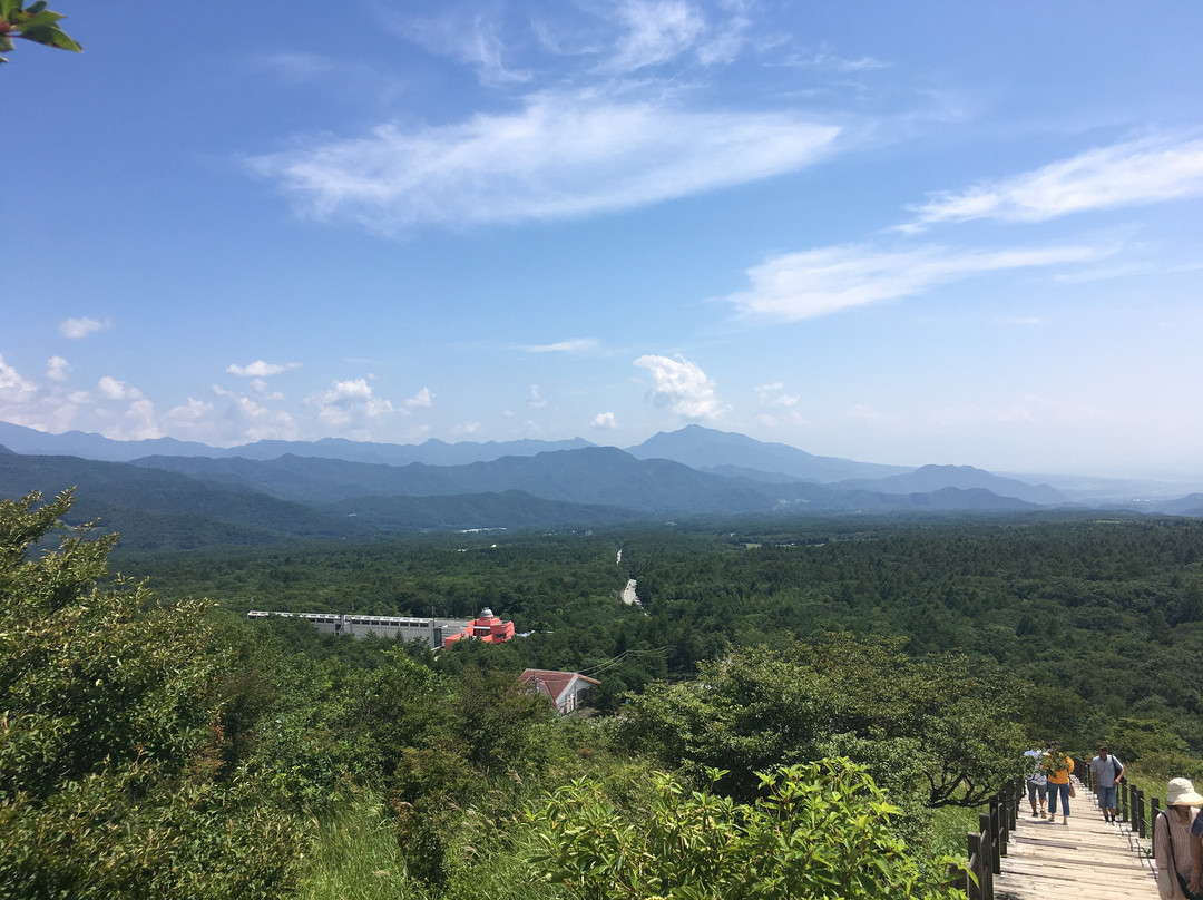 Forest Utsukushinomori景点图片