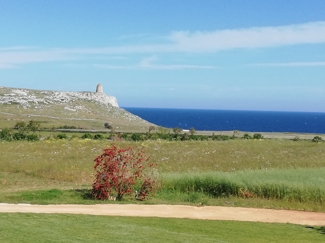Torre Sant'Emiliano-Porto Badisco必去景点