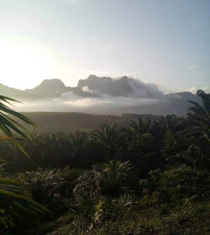 Khao Sok Tigerman Tours景点图片