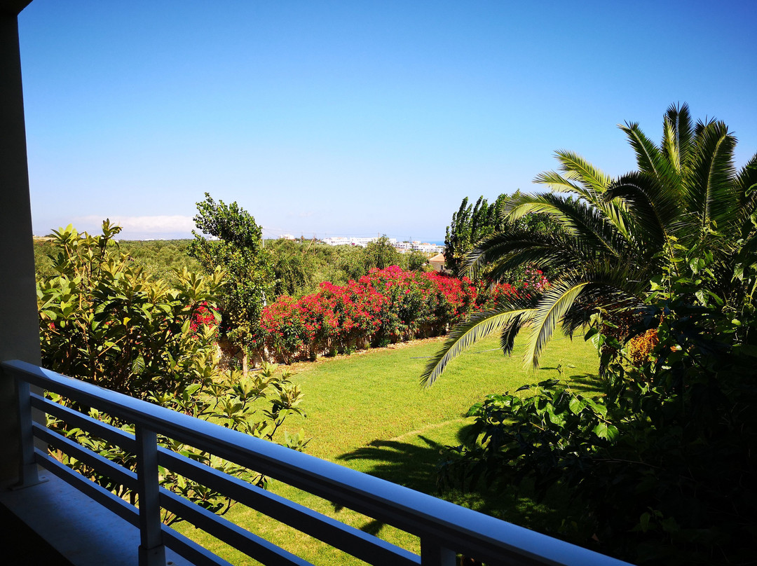 Eleftheria Hotel主图