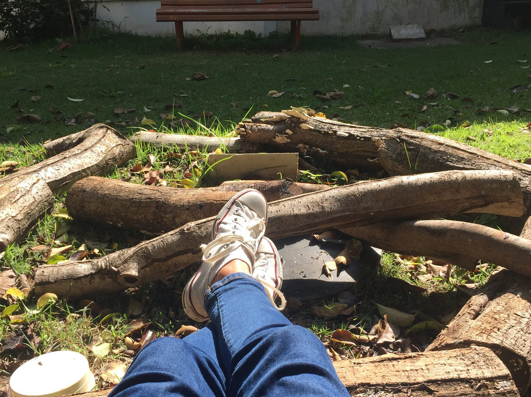 Bilbioteca Pública Monteiro Lobato-圣贝尔纳多-杜坎普必去景点