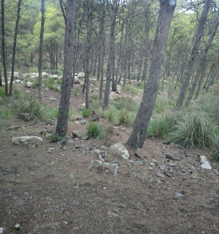 Monte Gurugu-Nador必去景点