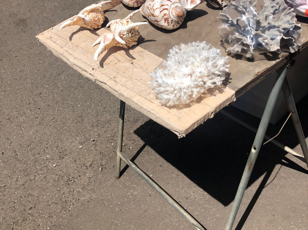 Haleiwa Shell Stand-哈雷瓦必去景点
