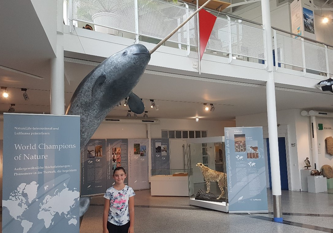 Naturkundemuseum景点图片