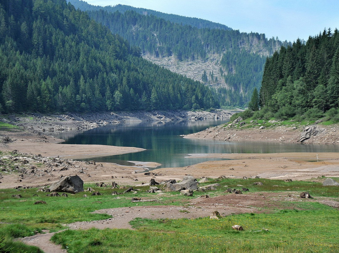 Lago Di Paneveggio景点图片