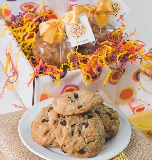 North Ferrisburg旅游攻略图片