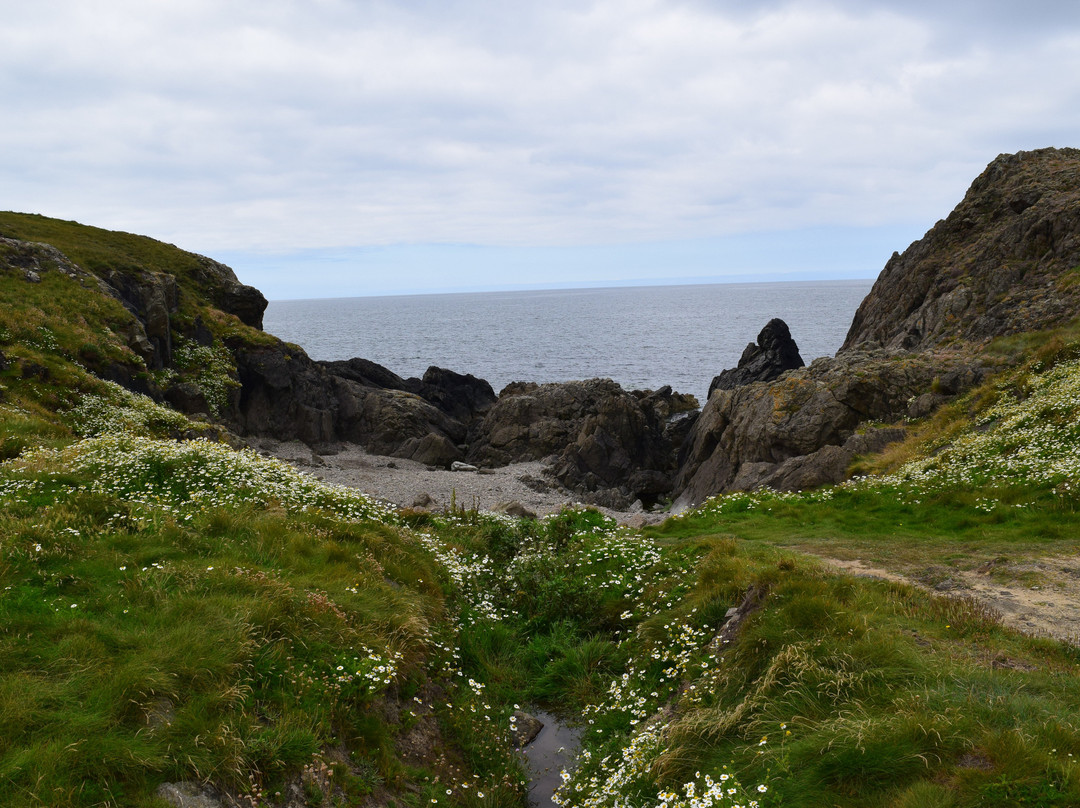 Barclodiad Y Gawres Chambered Tomb景点图片