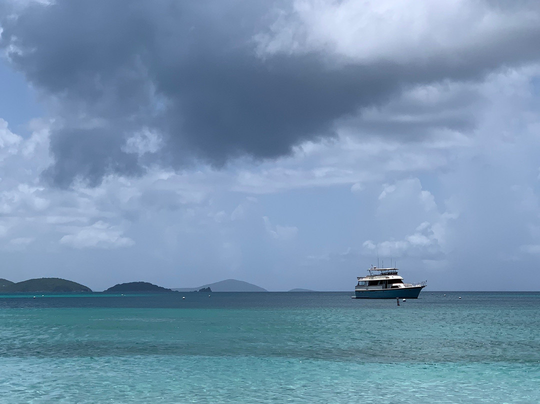 Maho Bay Beach景点图片