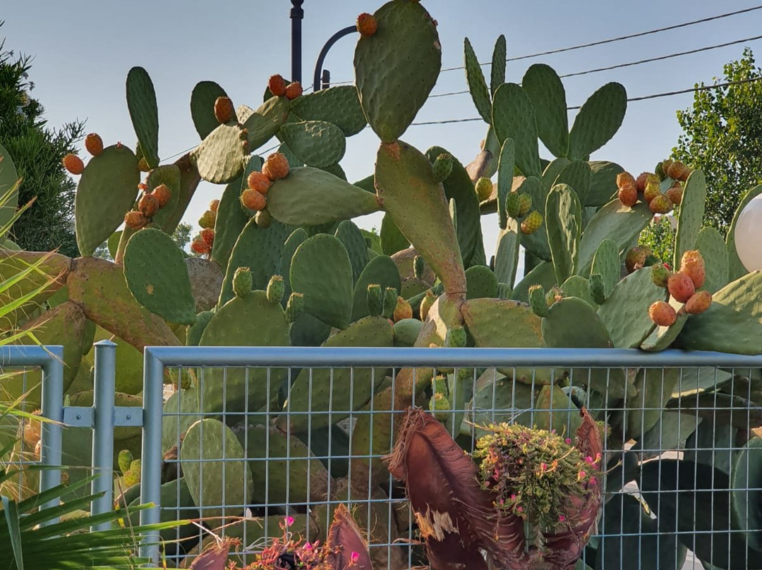 Hotel Alexandros M主图