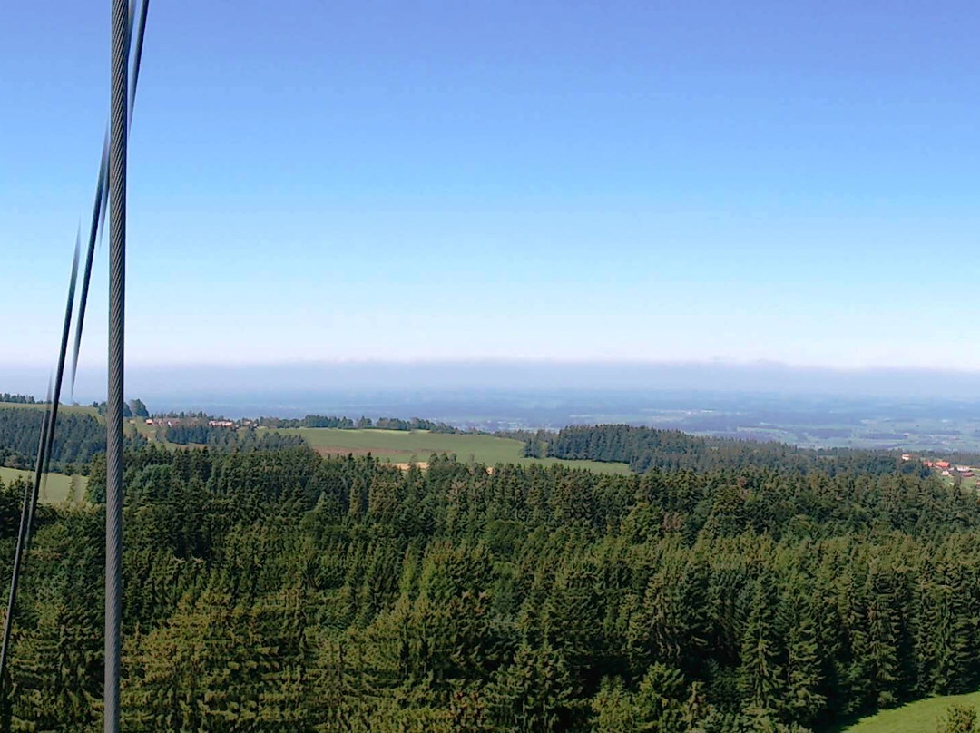 Skywalk Allgaeu  Wald Abenteuerwelt景点图片