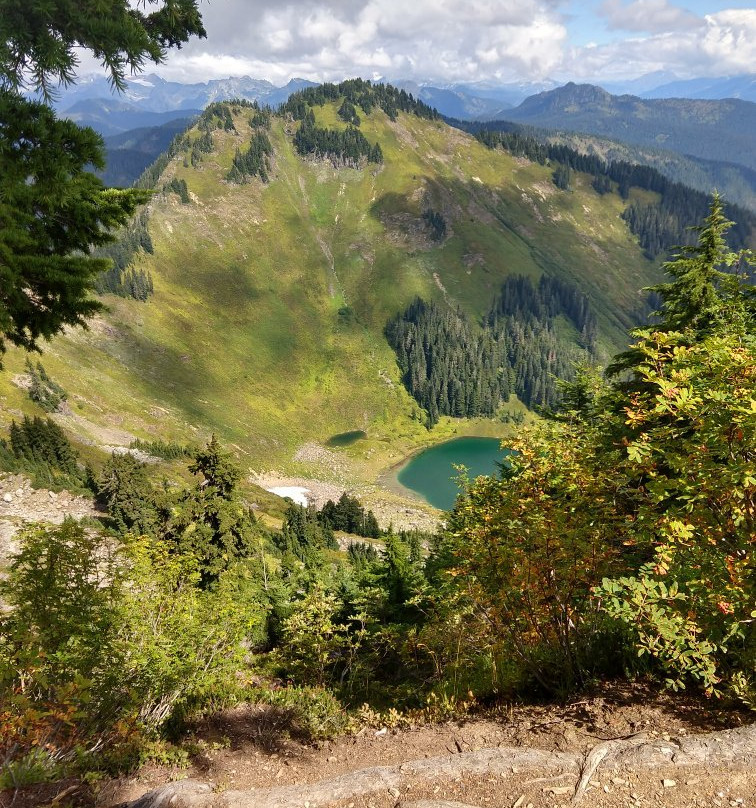 Sauk Mountain Trail景点图片