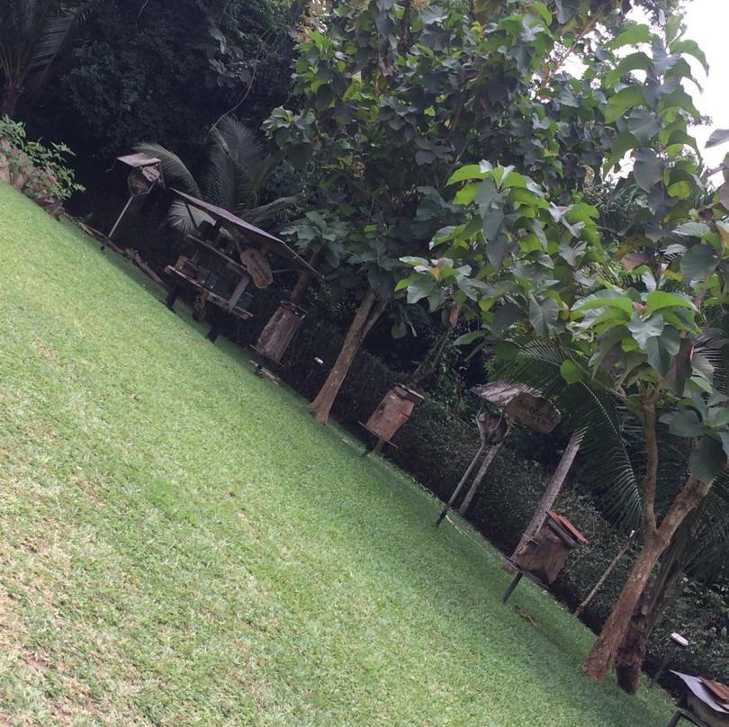 International Stingless Bee Centre-Cape Coast必去景点