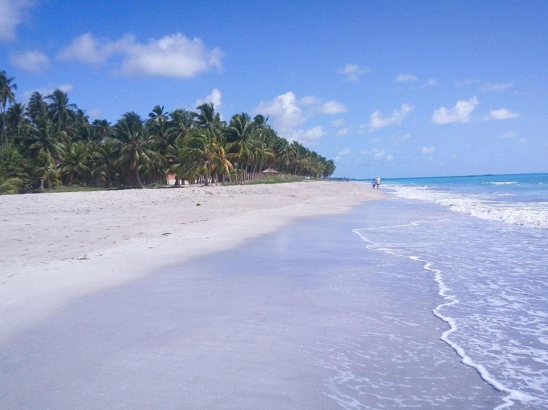 Partiu Maragogi Turismo