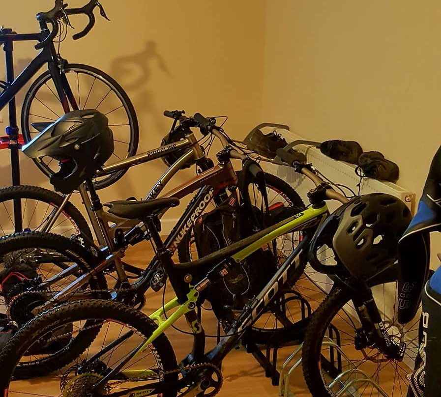 Bike Park Wales景点图片