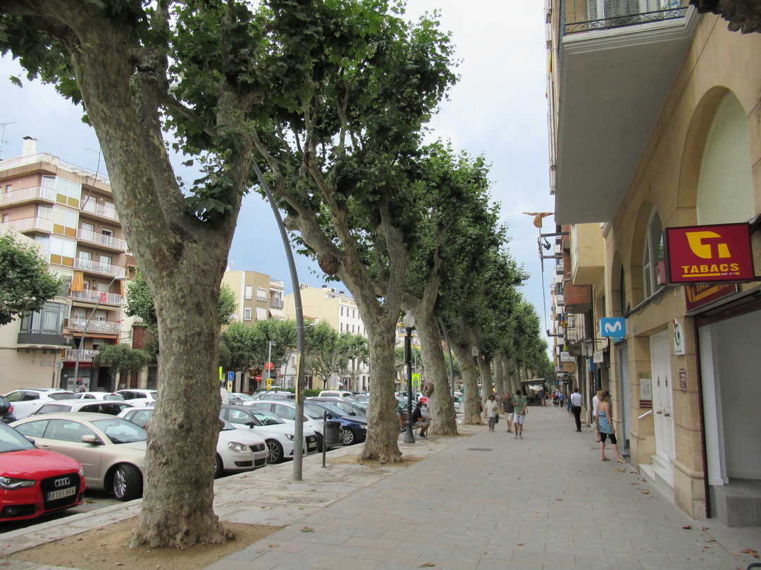 Riera Del Bisbe Pol-Arenys de Mar必去景点