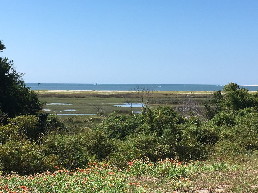 Rachel Carson Reserve景点图片