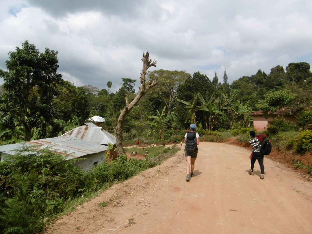 Friends of Usambara Society-卢绍托必去景点