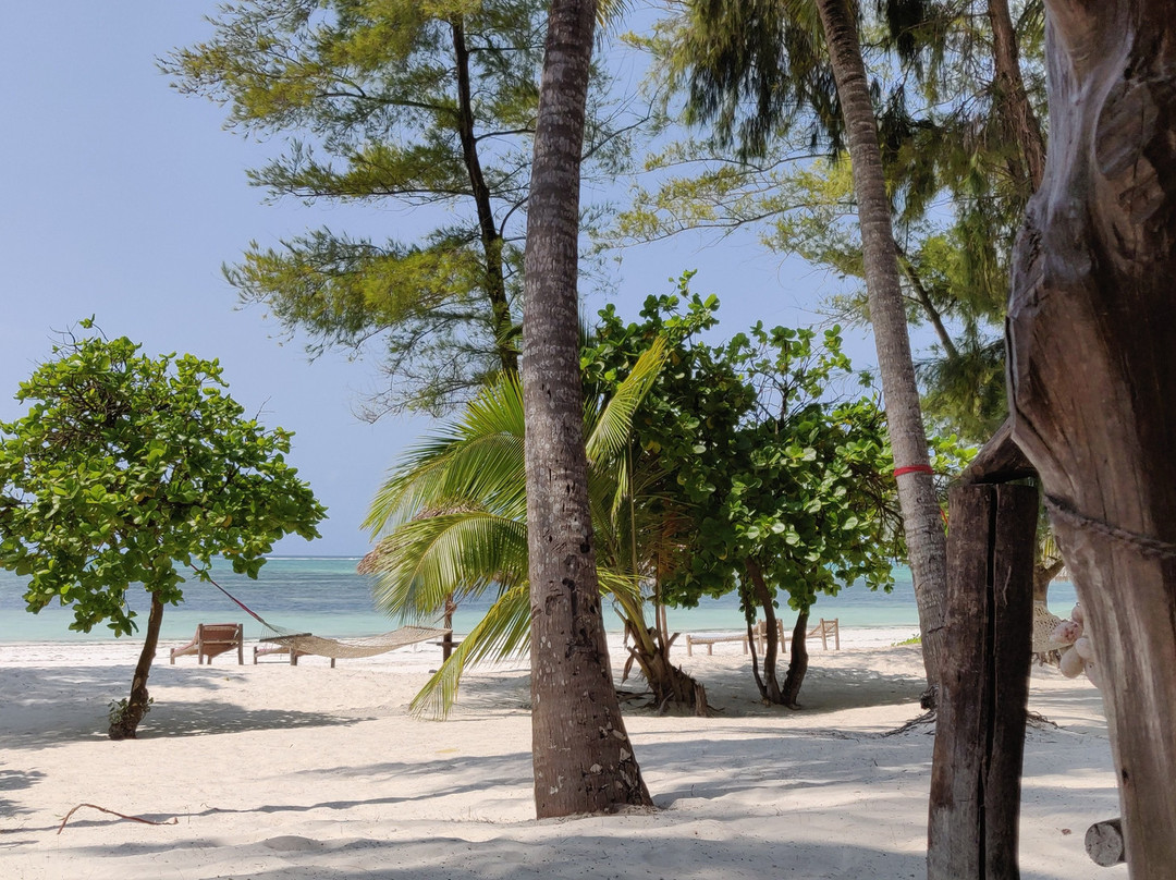 Evergreen Bungalows主图