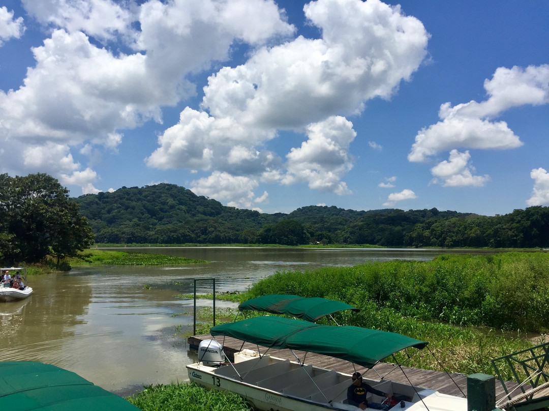 Gamboa Rainforest Resort Chagres River Boat Tour景点图片