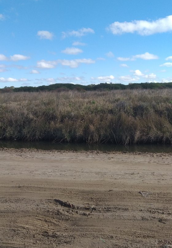 Navio Altair-Cassino必去景点