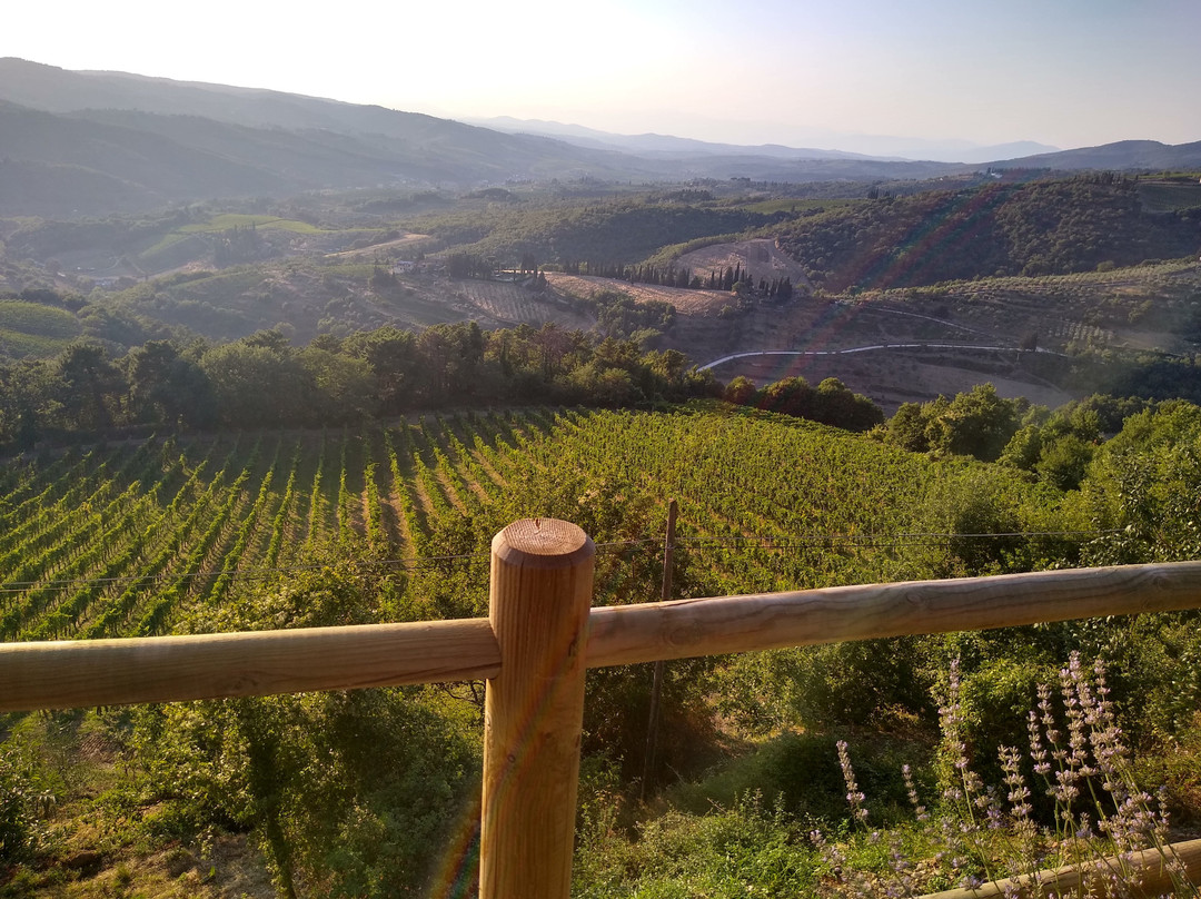 Castellinuzza旅游攻略图片