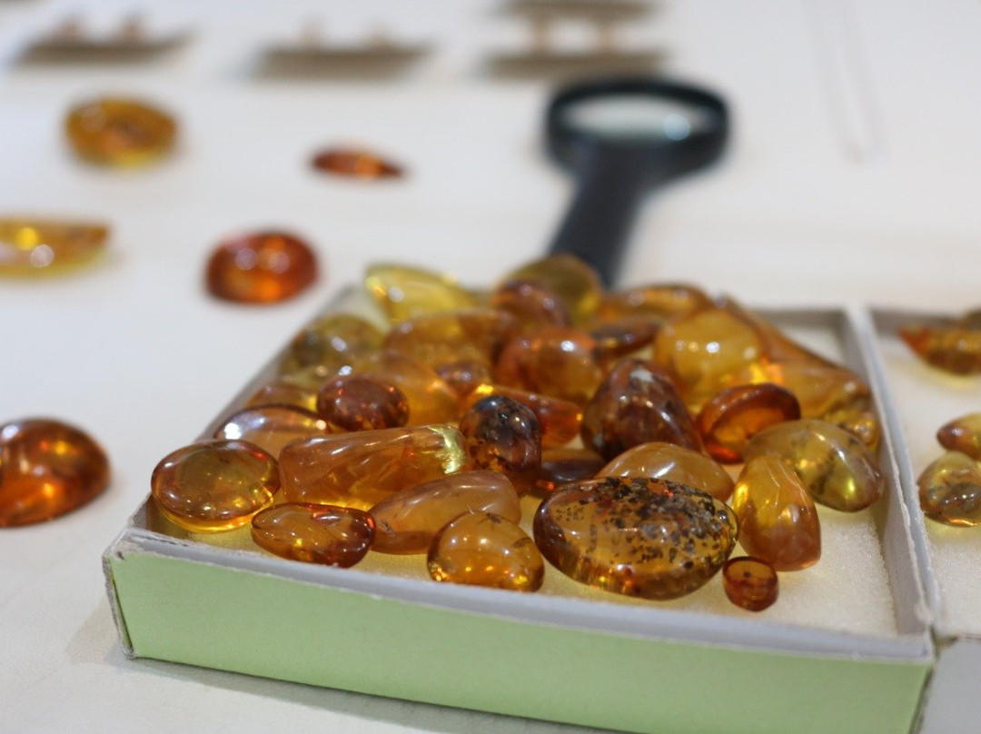 Fifi Jewelry And Cigar Store-普拉塔港必去景点