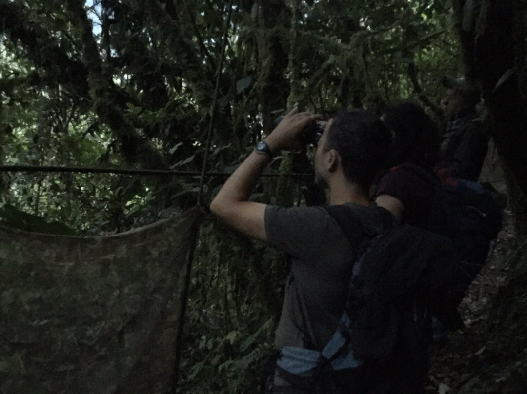 Hostal Chimenea主图