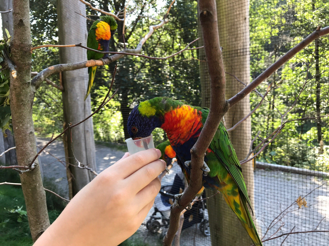 Suhler Tierpark景点图片