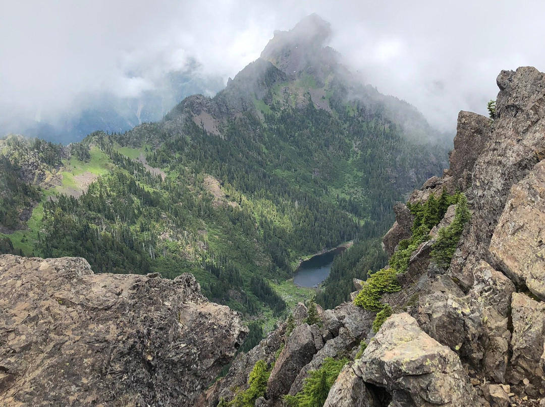 Mount Ellinor Trail景点图片