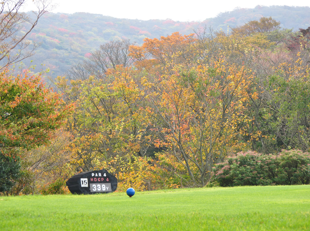 Amagi Kogen Golf Course景点图片