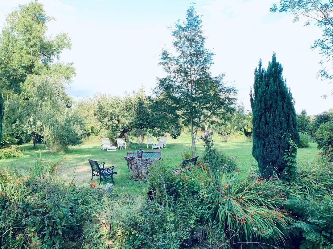 Le Moulin du Bignon主图